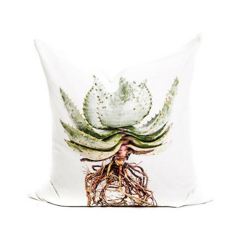 Aloe with roots cushion cover