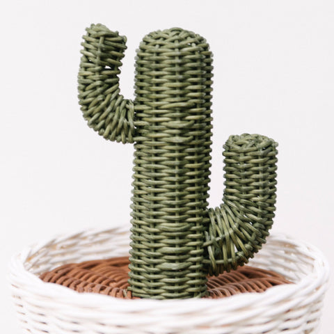 Rattan Cactus Pot: Alternate View #3
