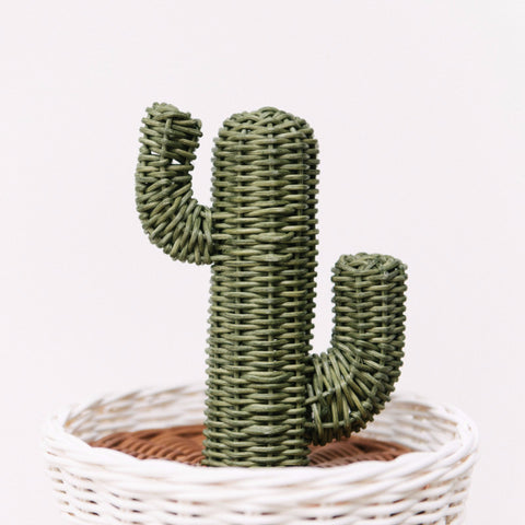 Rattan Cactus Pot: Alternate View #2