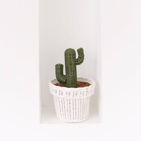 Rattan Cactus Pot: Alternate View #5