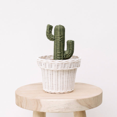 Rattan Cactus Pot: Alternate View #4