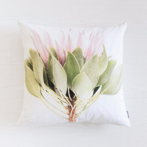 Scatter Cushion - Protea - Joba Collection: Alternate View #2