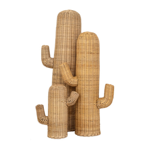 Rattan Cactus: Alternate View #1