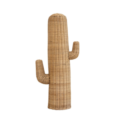 Rattan Cactus: Alternate View #13