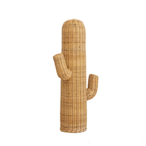 Rattan Cactus: Alternate View #14