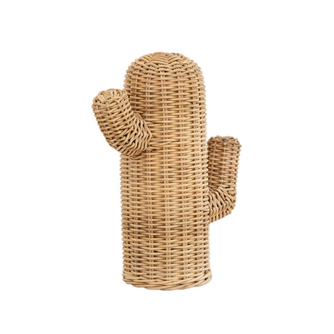 Rattan Cactus: Alternate View #17