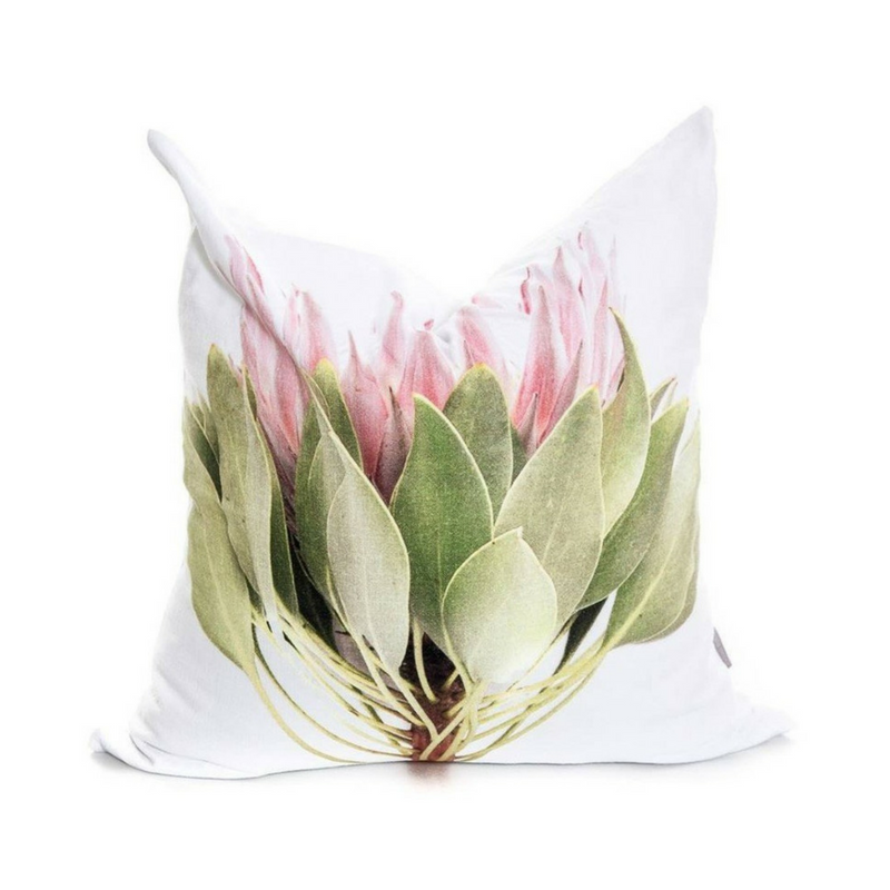 Scatter Cushion Protea Joba Collection – White Moss