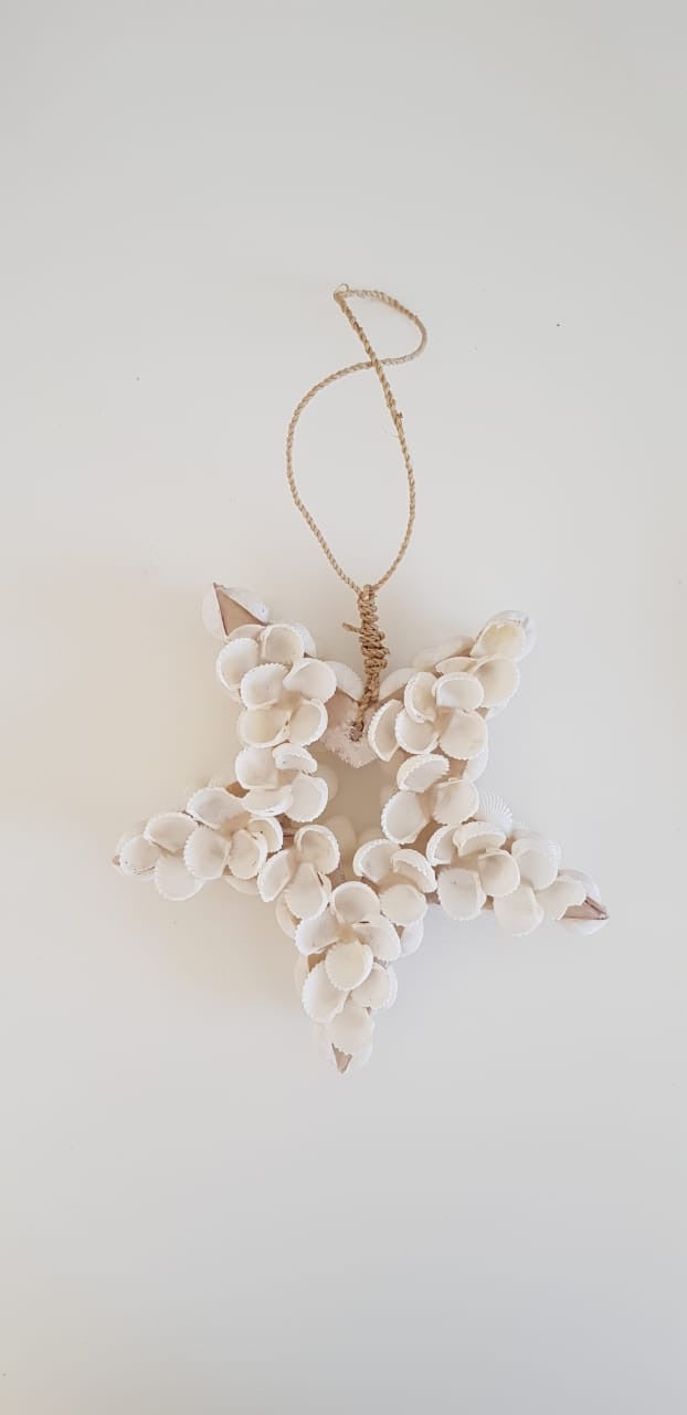 Seashell Star Christmas Decoration